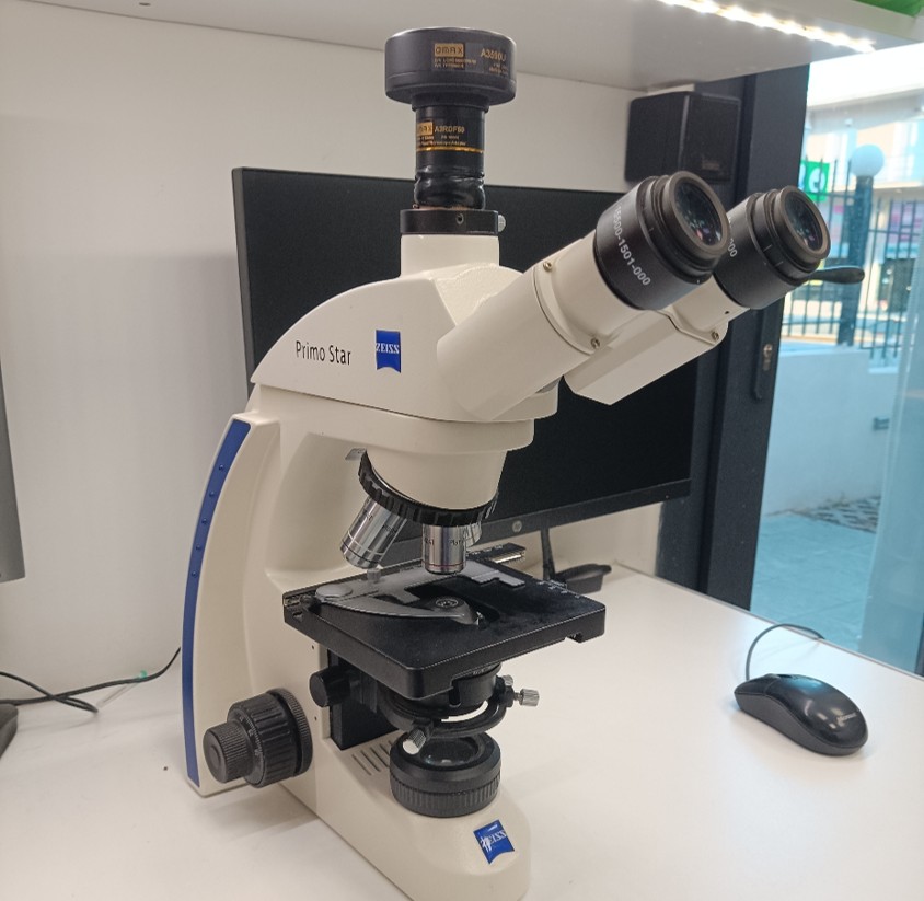 microscope cropped